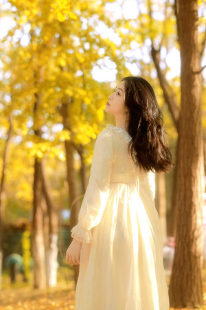 姐姐陪读的日子小说